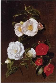 unknow artist Floral, beautiful classical still life of flowers 028 china oil painting image